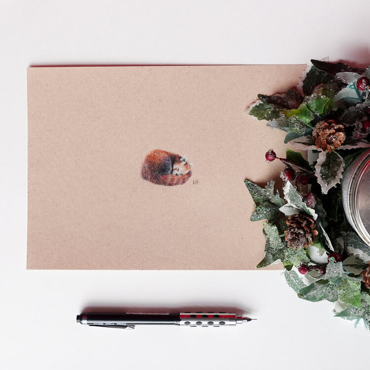 Red Panda | Original Artwork | Miniature Drawing
