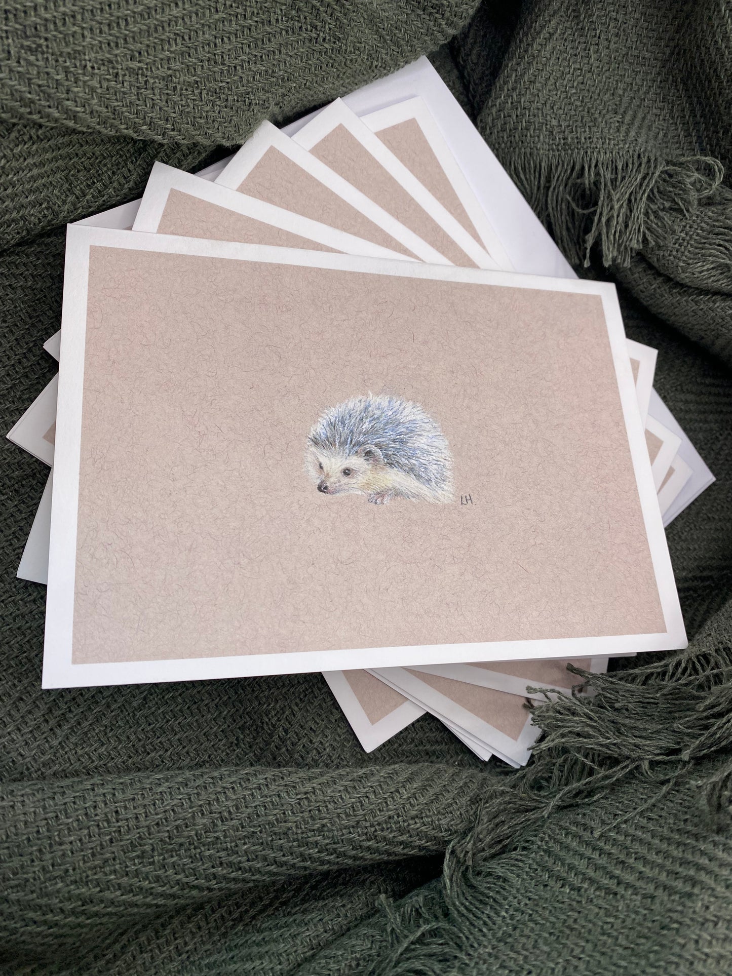CLEARANCE | Hand-drawn Otter | Pack of 5 Greetings Cards