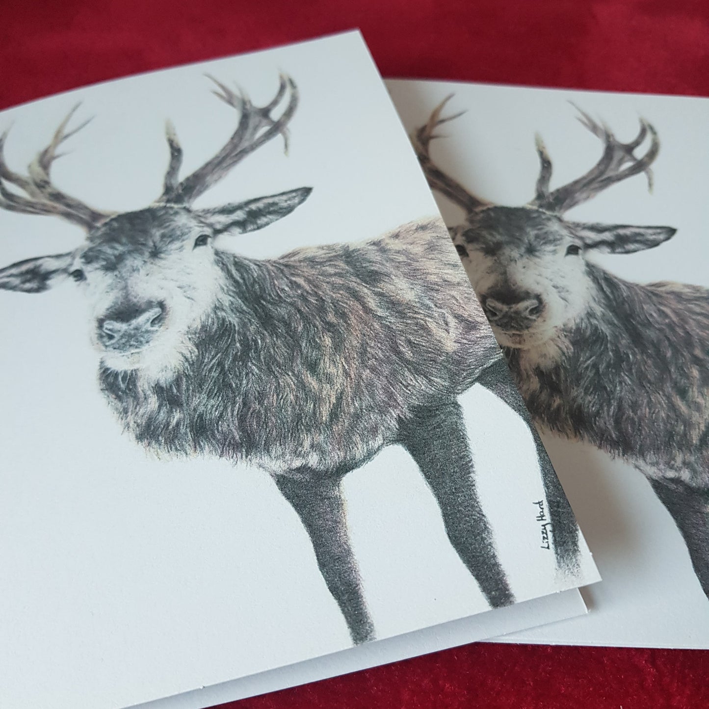 CLEARANCE | Pack of 5 Large Reindeer Greetings Cards