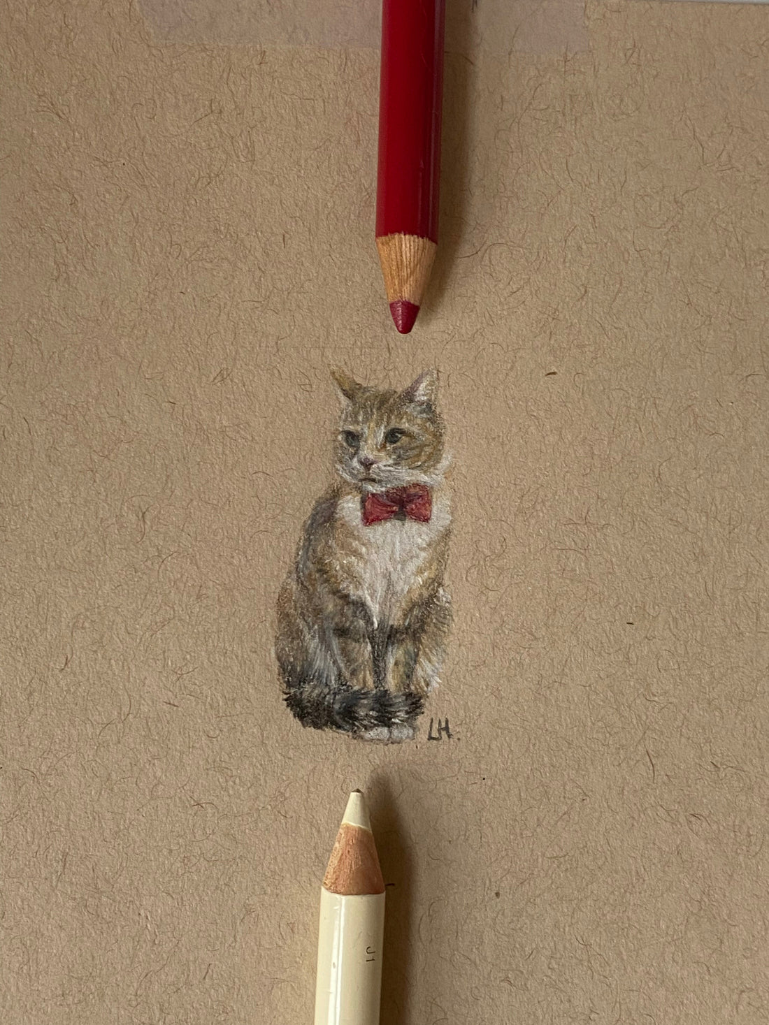 Gentlecat | A Dapper Cat in Gyeongju, South Korea