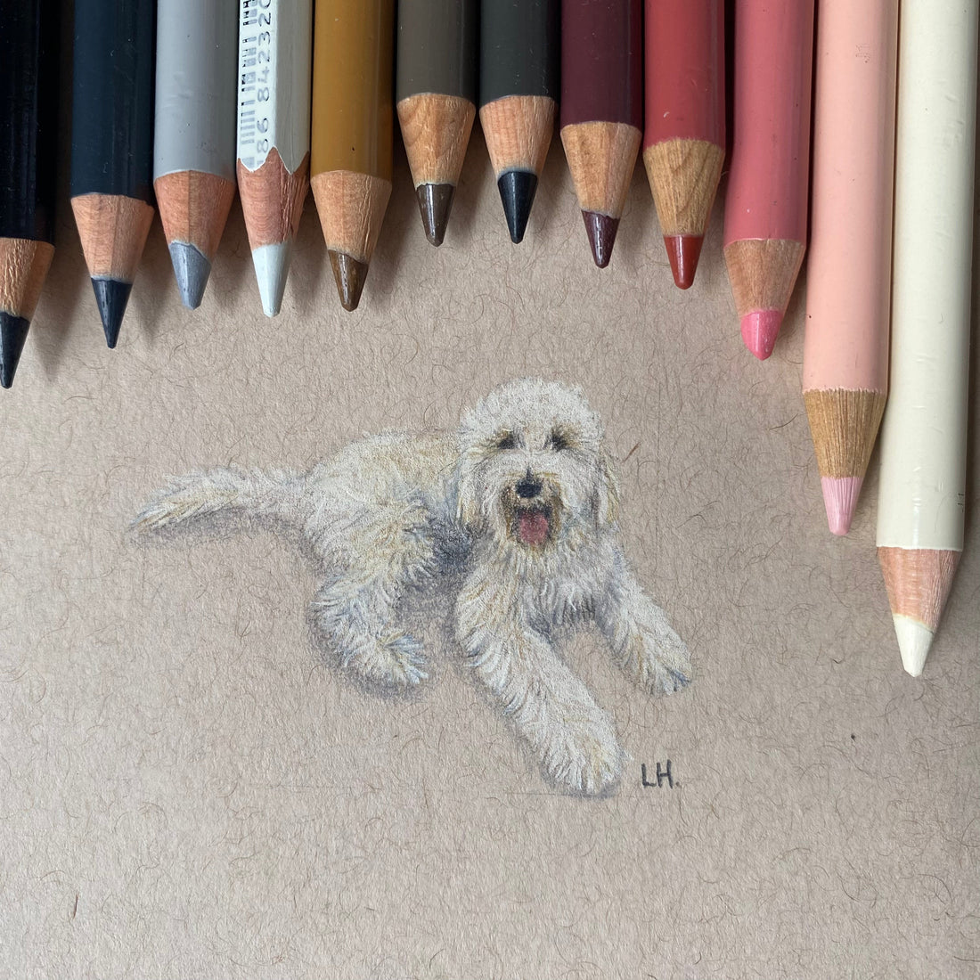 Uju | A Big Friendly Space Dog