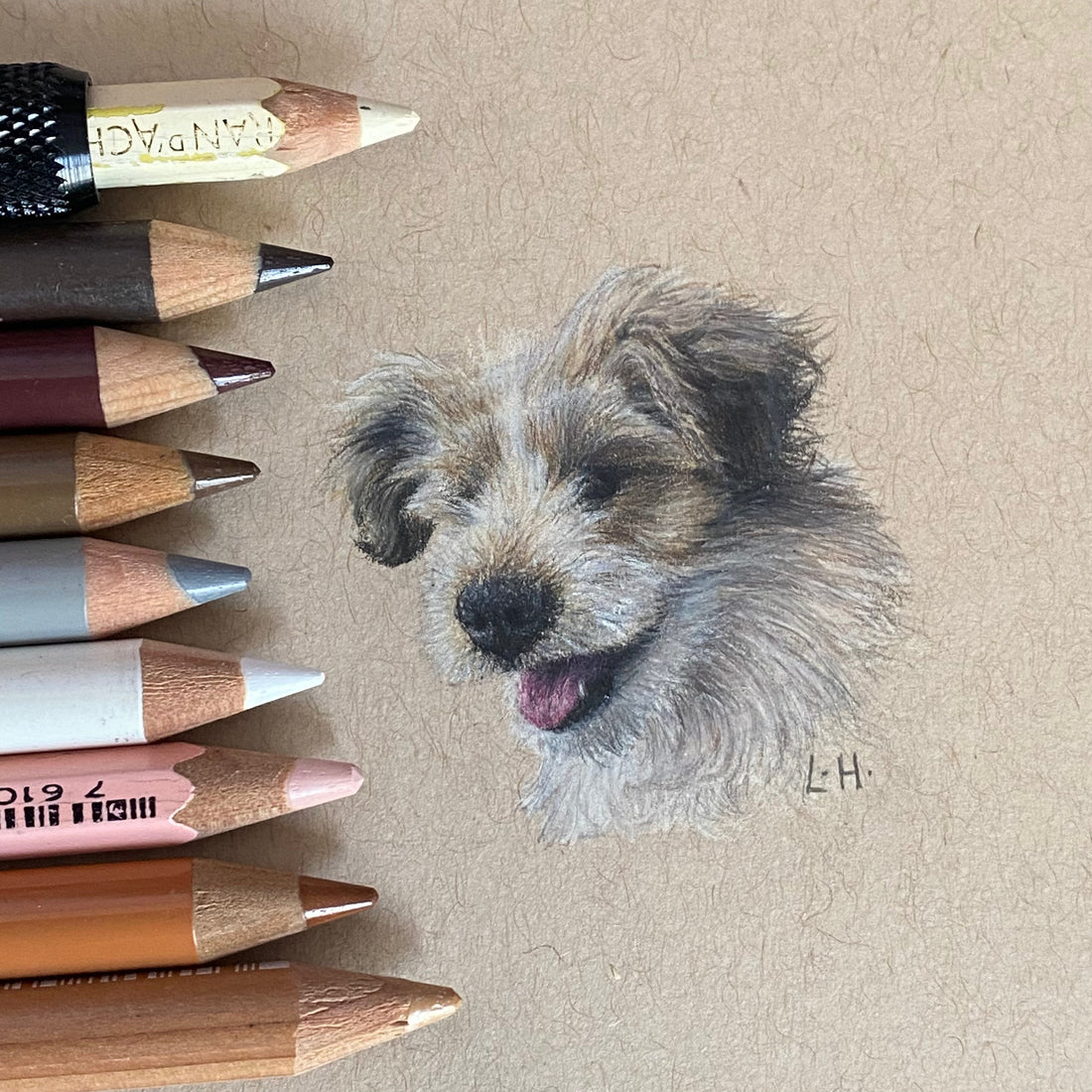 Strawberry Picking Puppy | Nonsan Strawberry Festival