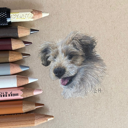 Strawberry Picking Puppy | Nonsan Strawberry Festival