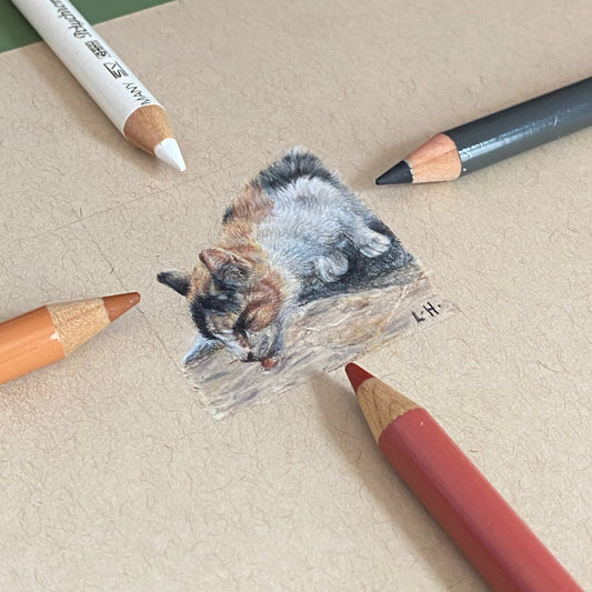 Drinking Cat | A Peaceful Glamping Trip