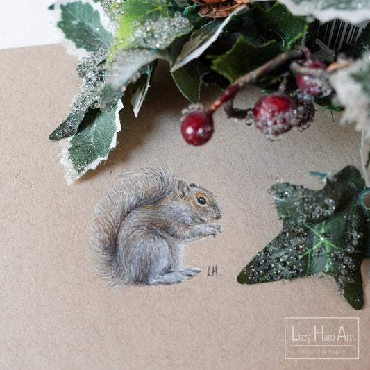 A Squirrel's Tail | My Forest Holiday