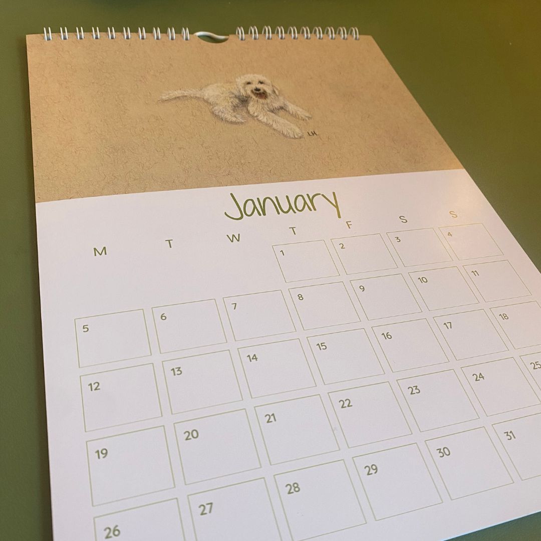 2026 Calendar | Cosy Creatures Calendar | Hand-Drawn Animal Artwork