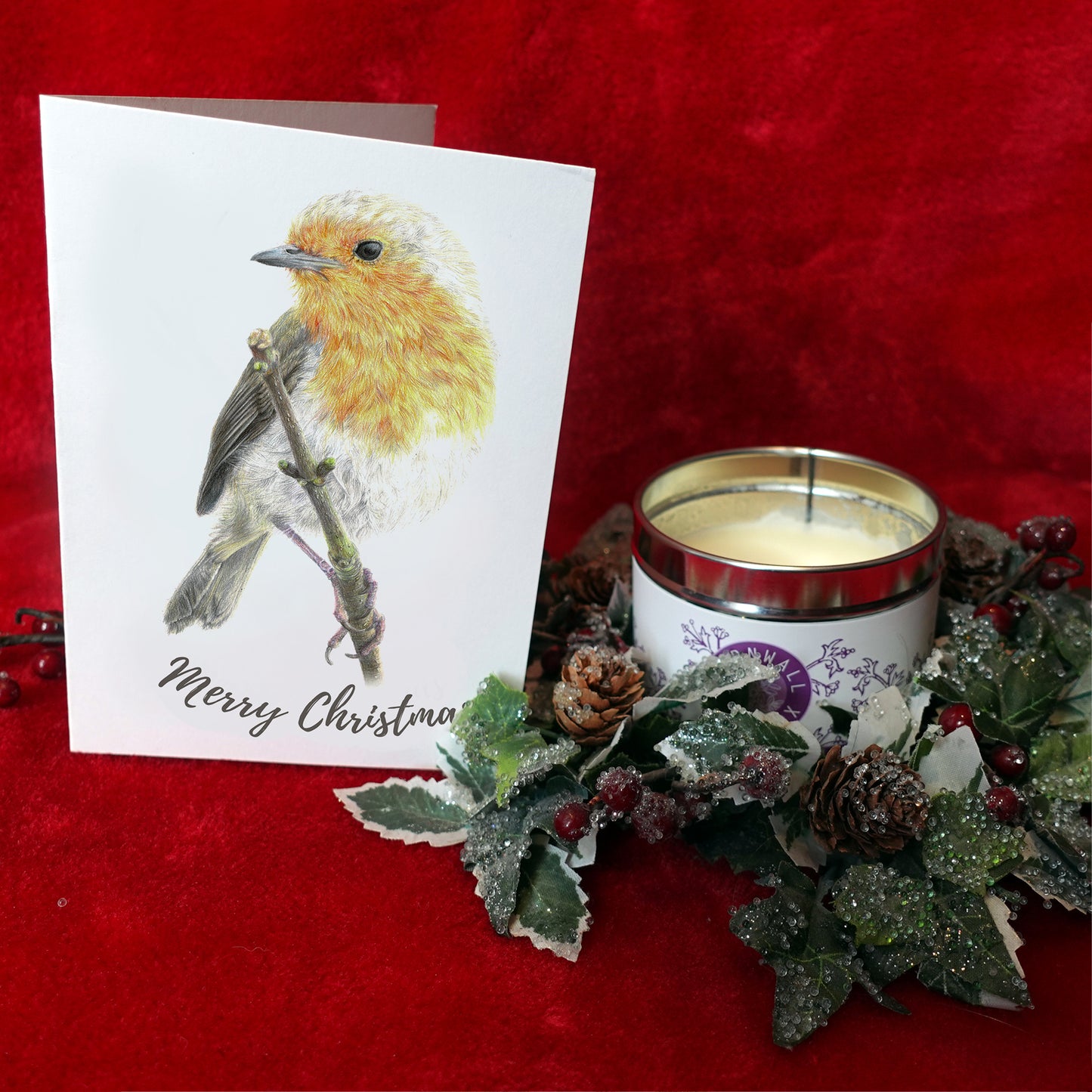 Robin | "Merry Christmas" Card