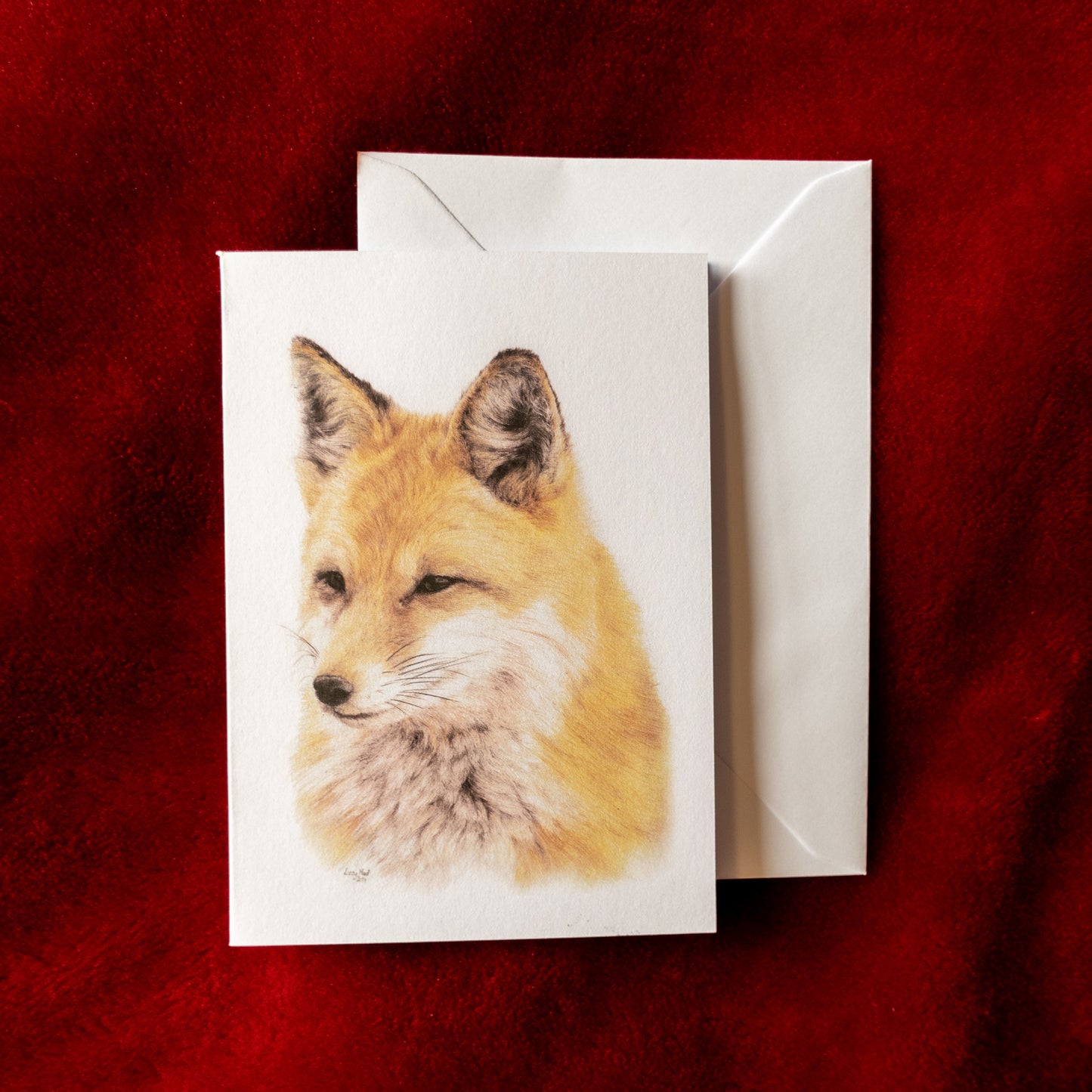 CLEARANCE | Pack of 5 Large Fox Greetings Cards