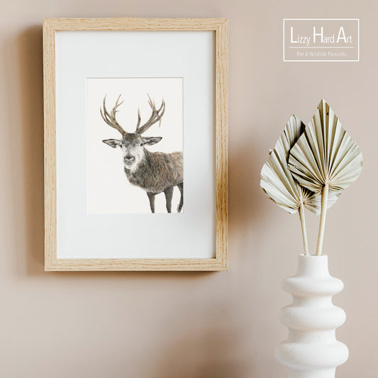 CLEARANCE 3 FOR £1 | Reindeer, Fox and Robin A4 Prints