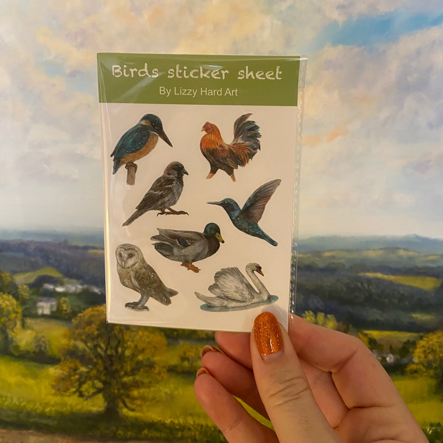 Sticker Sheet | Hand Drawn Animal Designs | Birds