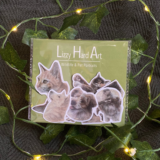 Sticker Pack | Cats and Dogs | Pack of 10