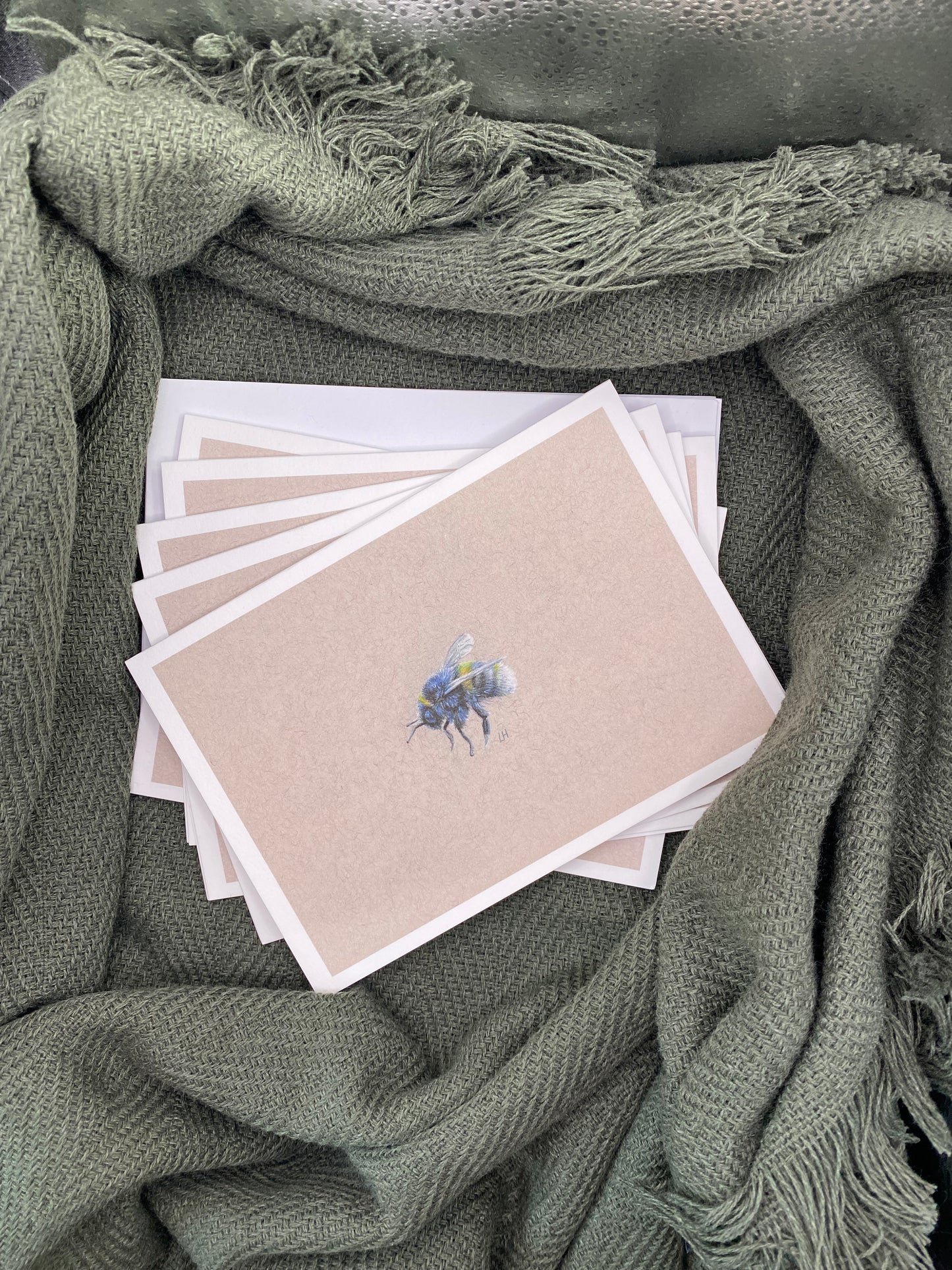 CLEARANCE | Hand-drawn Otter | Pack of 5 Greetings Cards