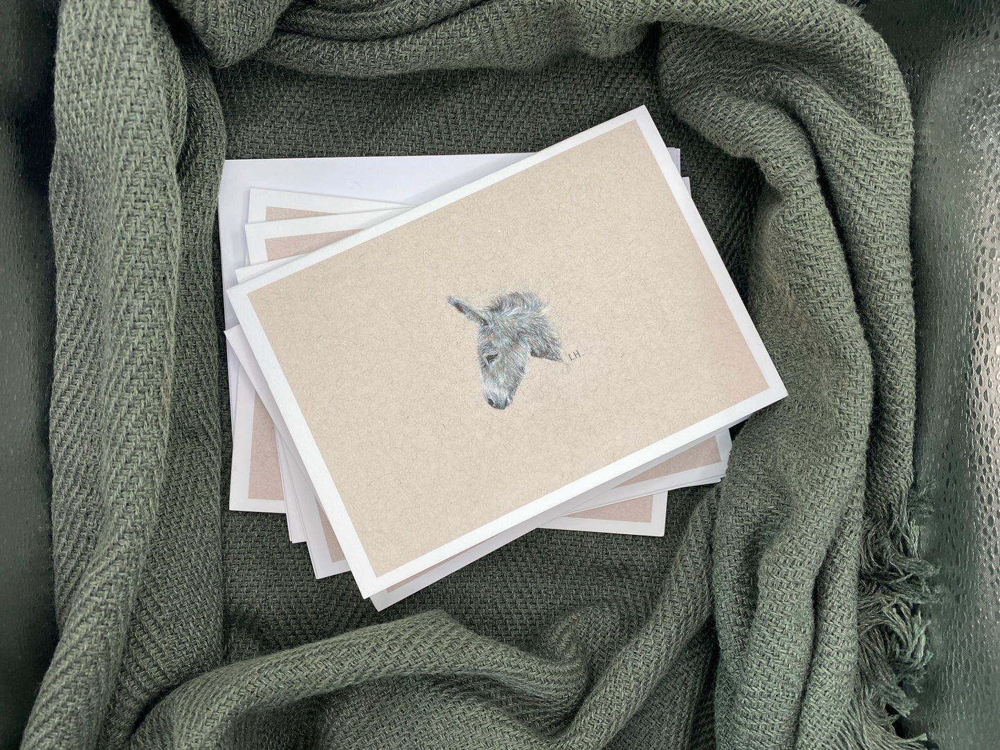 CLEARANCE | Hand-drawn Otter | Pack of 5 Greetings Cards