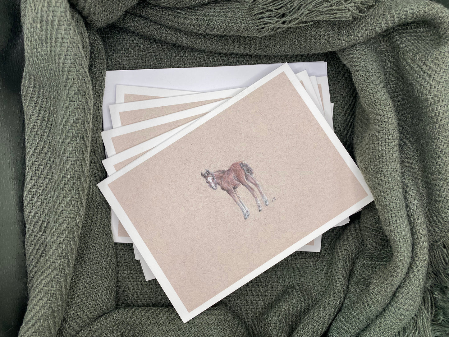 CLEARANCE | Hand-drawn Otter | Pack of 5 Greetings Cards