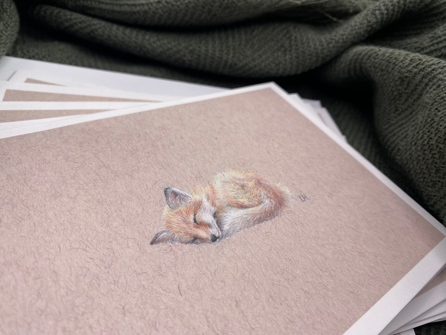 CLEARANCE | Hand-drawn Otter | Pack of 5 Greetings Cards