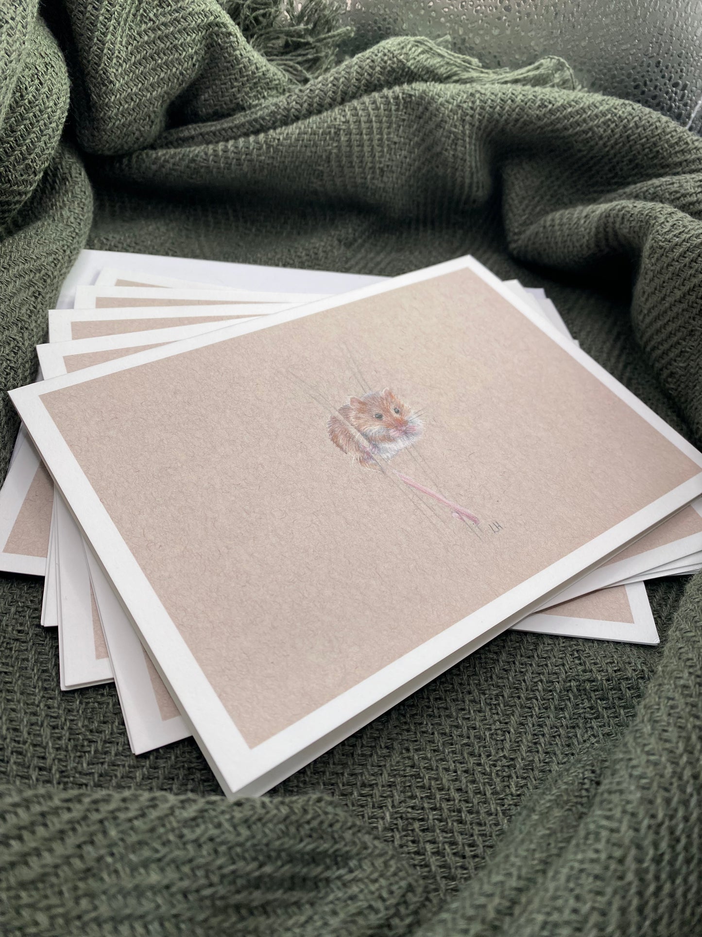 CLEARANCE | Hand-drawn Otter | Pack of 5 Greetings Cards