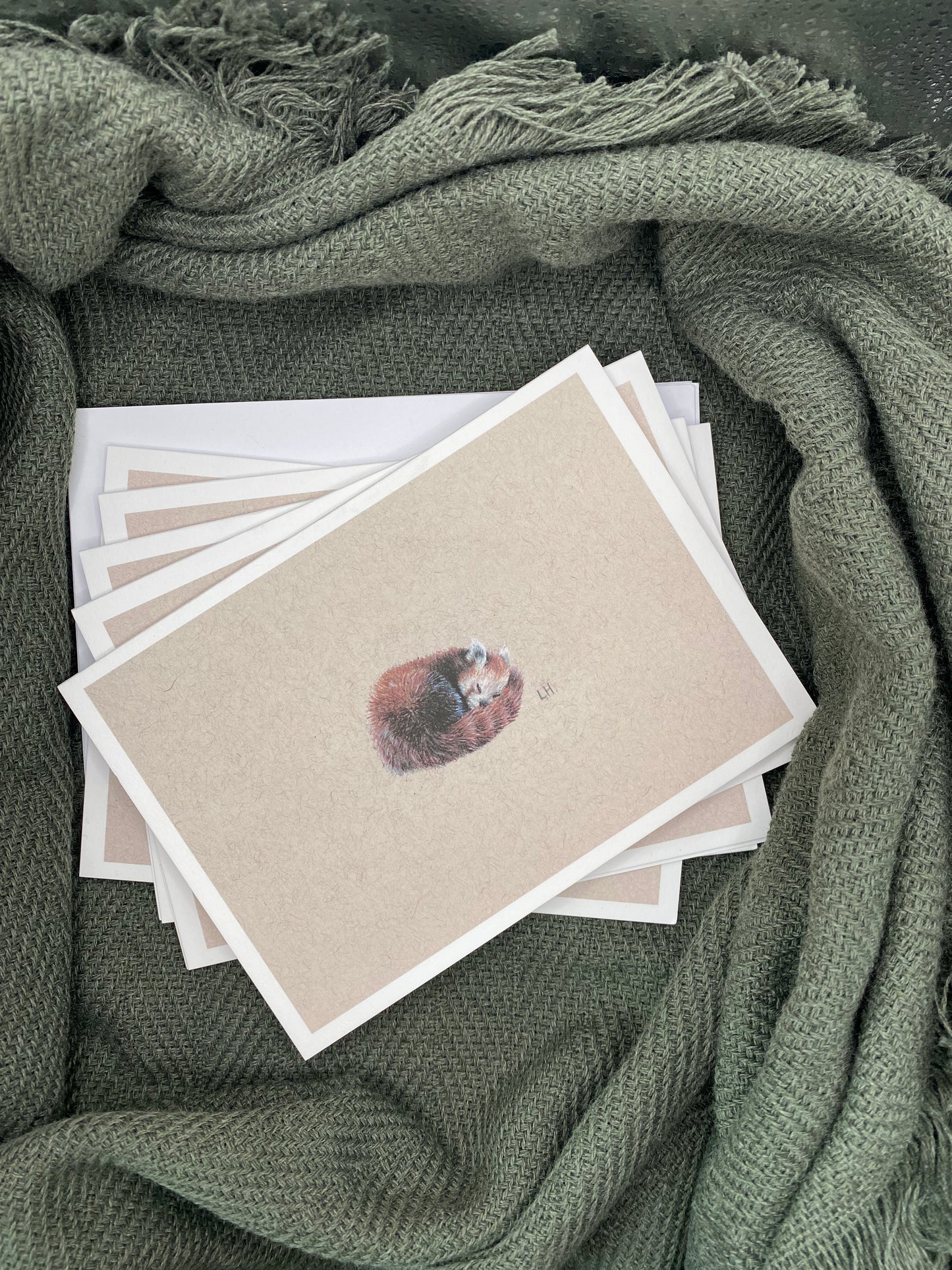 CLEARANCE | Hand-drawn Otter | Pack of 5 Greetings Cards