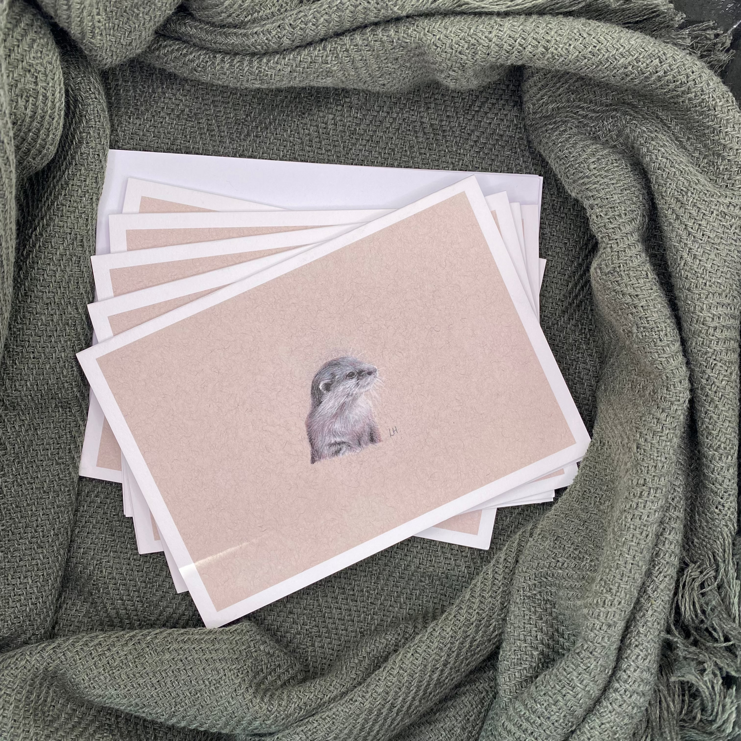 CLEARANCE | Hand-drawn Otter | Pack of 5 Greetings Cards