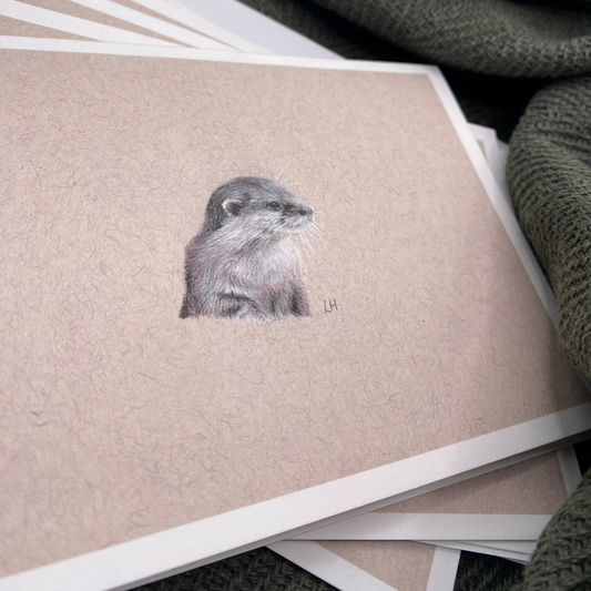 CLEARANCE | Hand-drawn Otter | Pack of 5 Greetings Cards