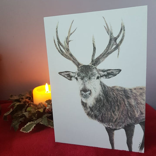 CLEARANCE | Pack of 5 Large Reindeer Greetings Cards