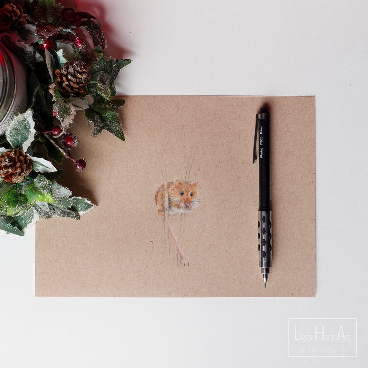 Harvest Mouse | Original Artwork | Miniature Drawing