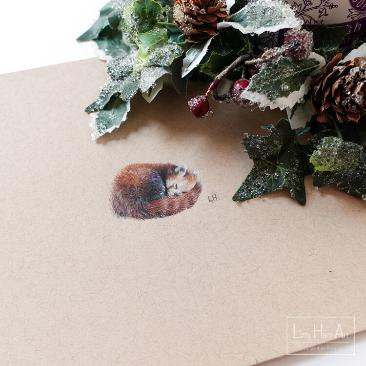 Red Panda | Original Artwork | Miniature Drawing